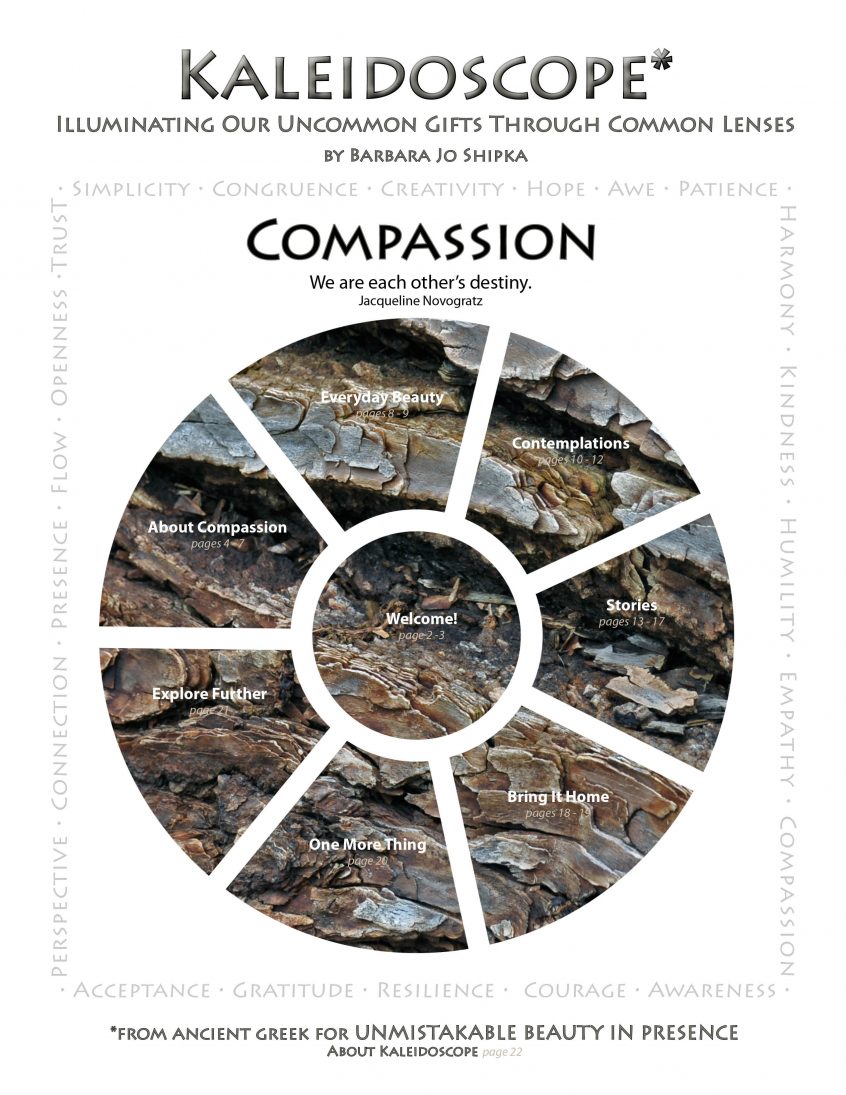 compassion-cover
