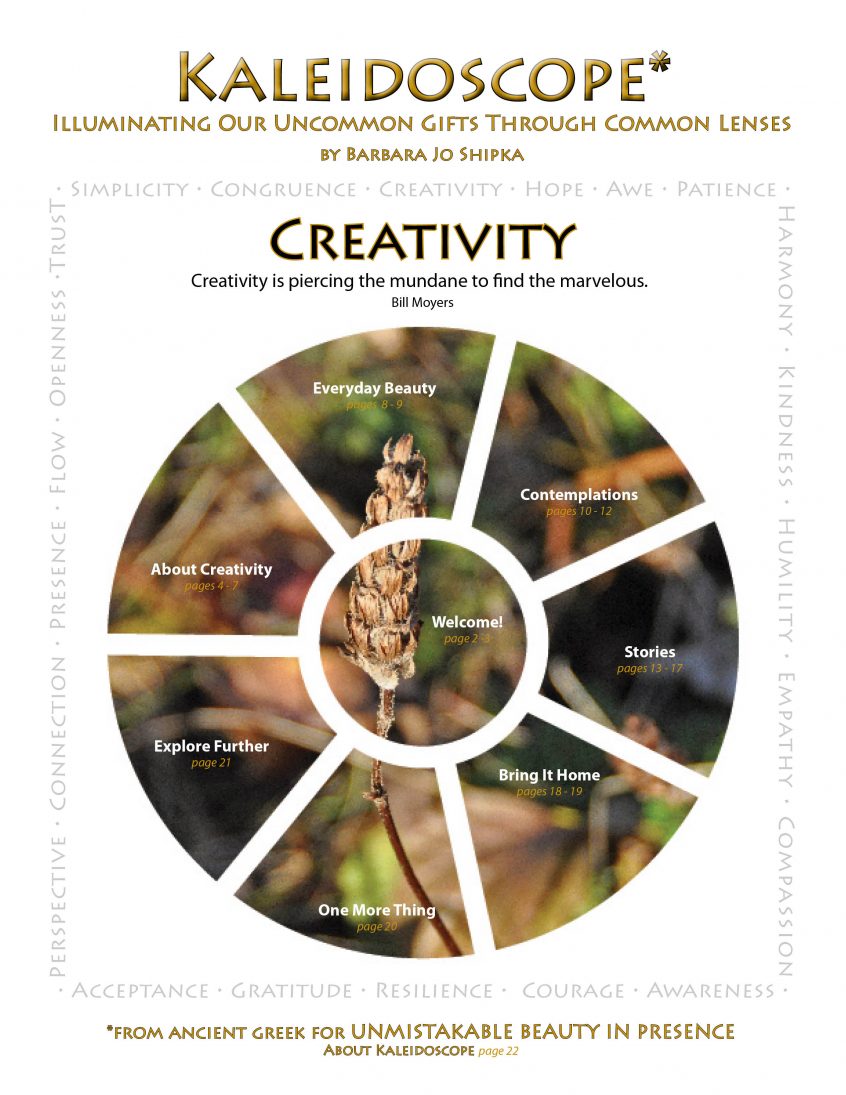 creativity-cover